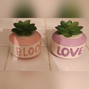 Bloom & Love Ceramic Planters with Succulents